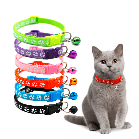 Collar para Gatos graduable