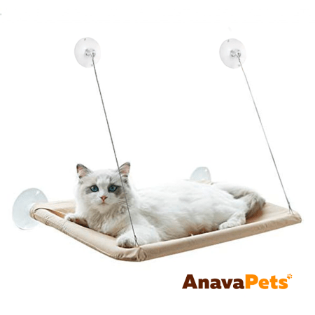 Hamaca de Ventana para Gatos - Beige