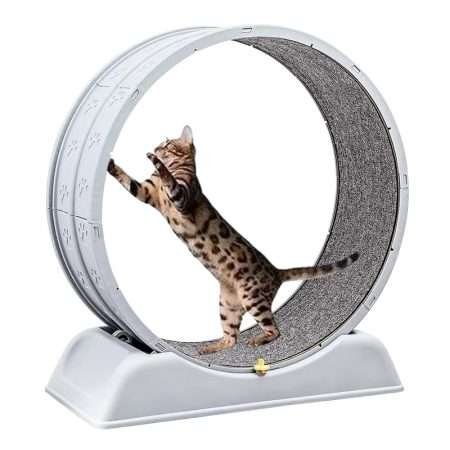 Rueda Giratoria de Ejercicio Para Gatos