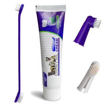 Kit Cepillo Y Pasta Dental - Dental Care