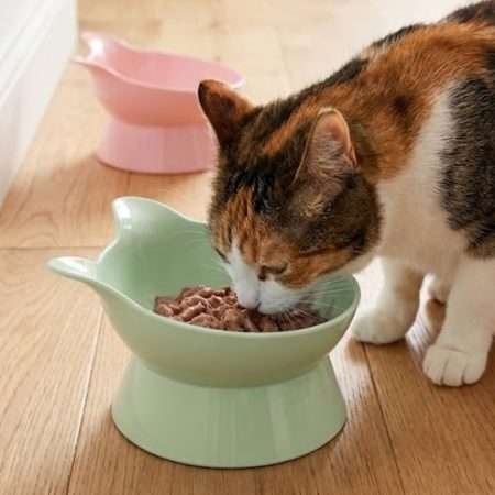 Plato Gatito Elevado